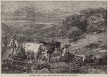 Schlittenfahren Farne